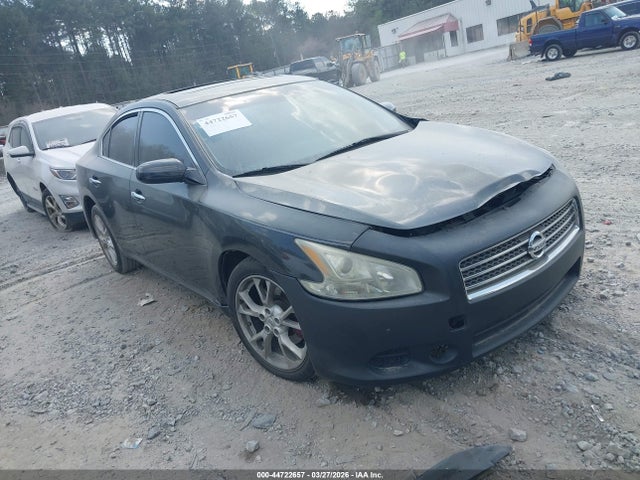 Salvage Nissan Maxima Image