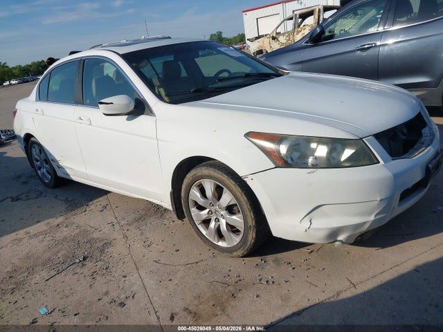 Salvage Honda Accord Image