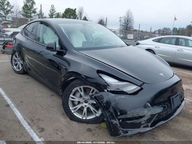 Salvage Tesla Model Y Image