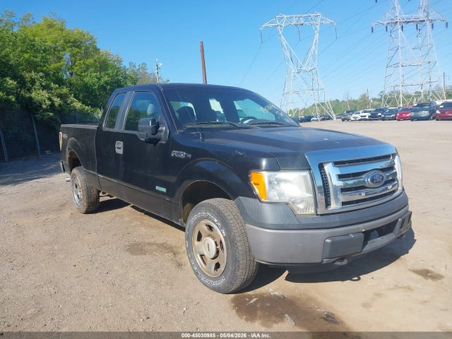 Salvage Ford F-150 Image