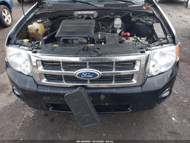 Ford Escape Xlt