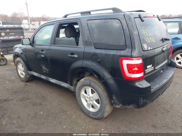 Ford Escape Xlt