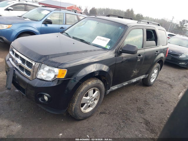 Ford Escape Xlt