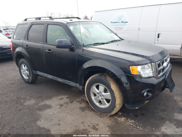 Salvage Ford Escape Image