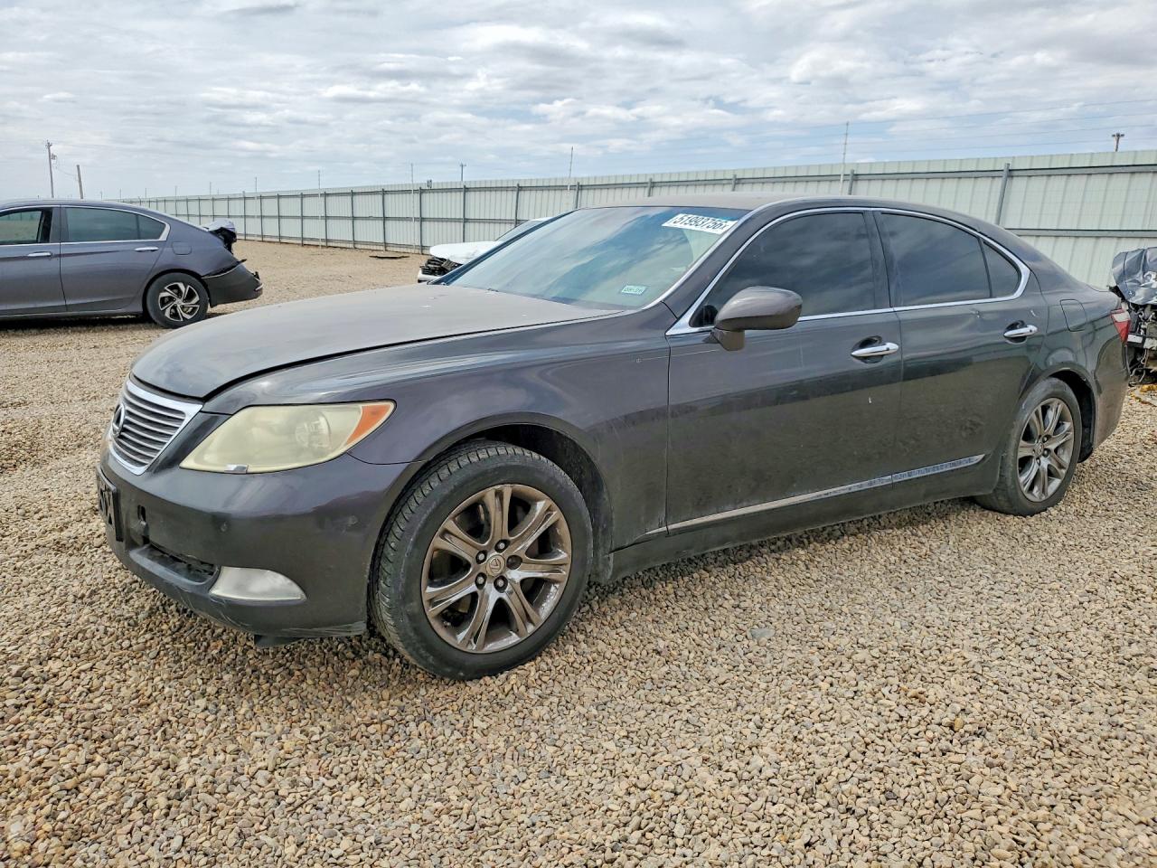Salvage Lexus LS Image
