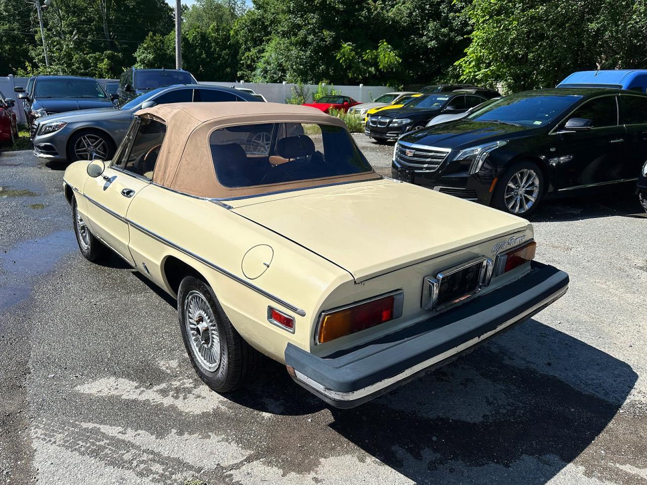 Alfa Romeo Veloce 2000 Spider