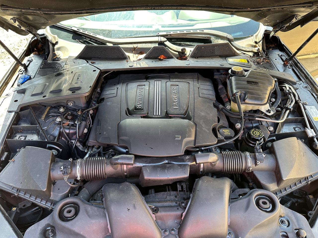 Jaguar XJ