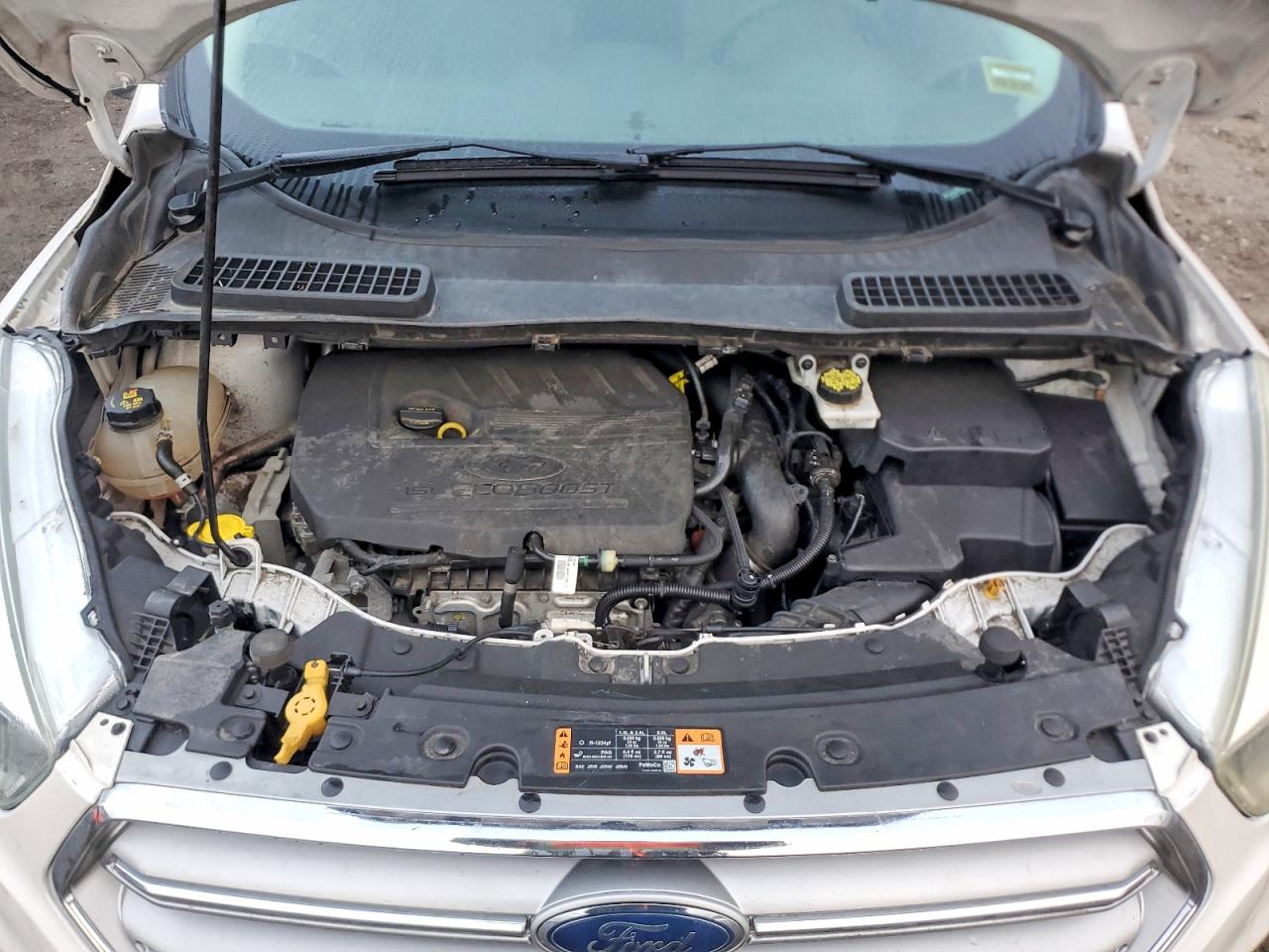 Ford Escape Se