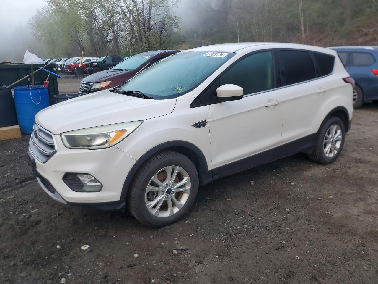 Salvage Ford Escape Image
