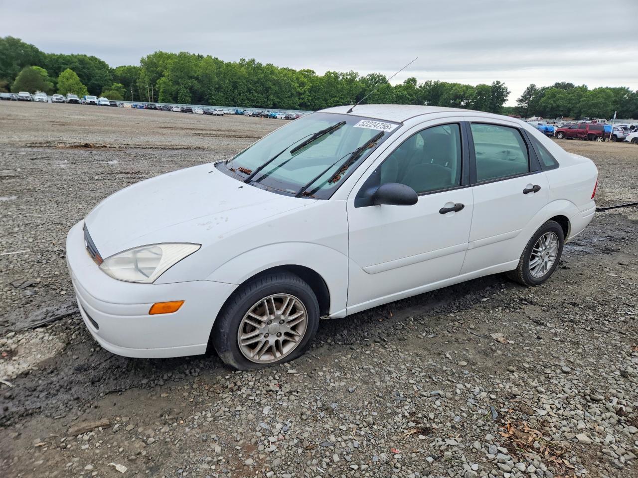 Salvage Ford Focus Image