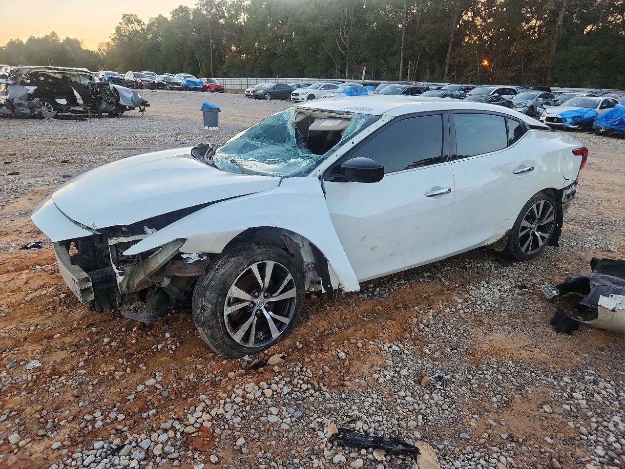 Salvage Nissan Maxima Image