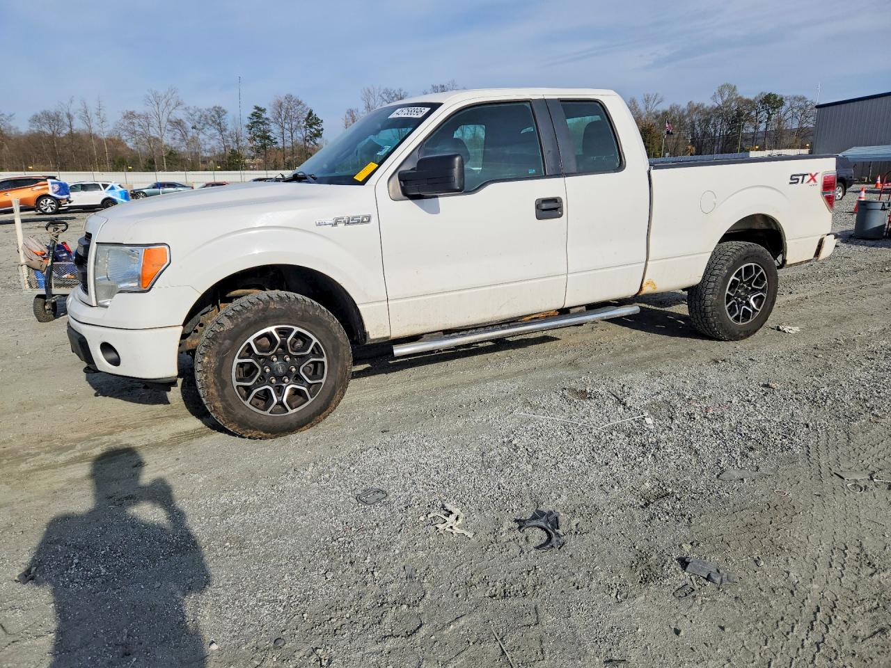 Salvage Ford F-150 Image