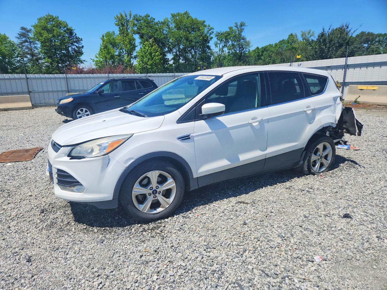 Salvage Ford Escape Image