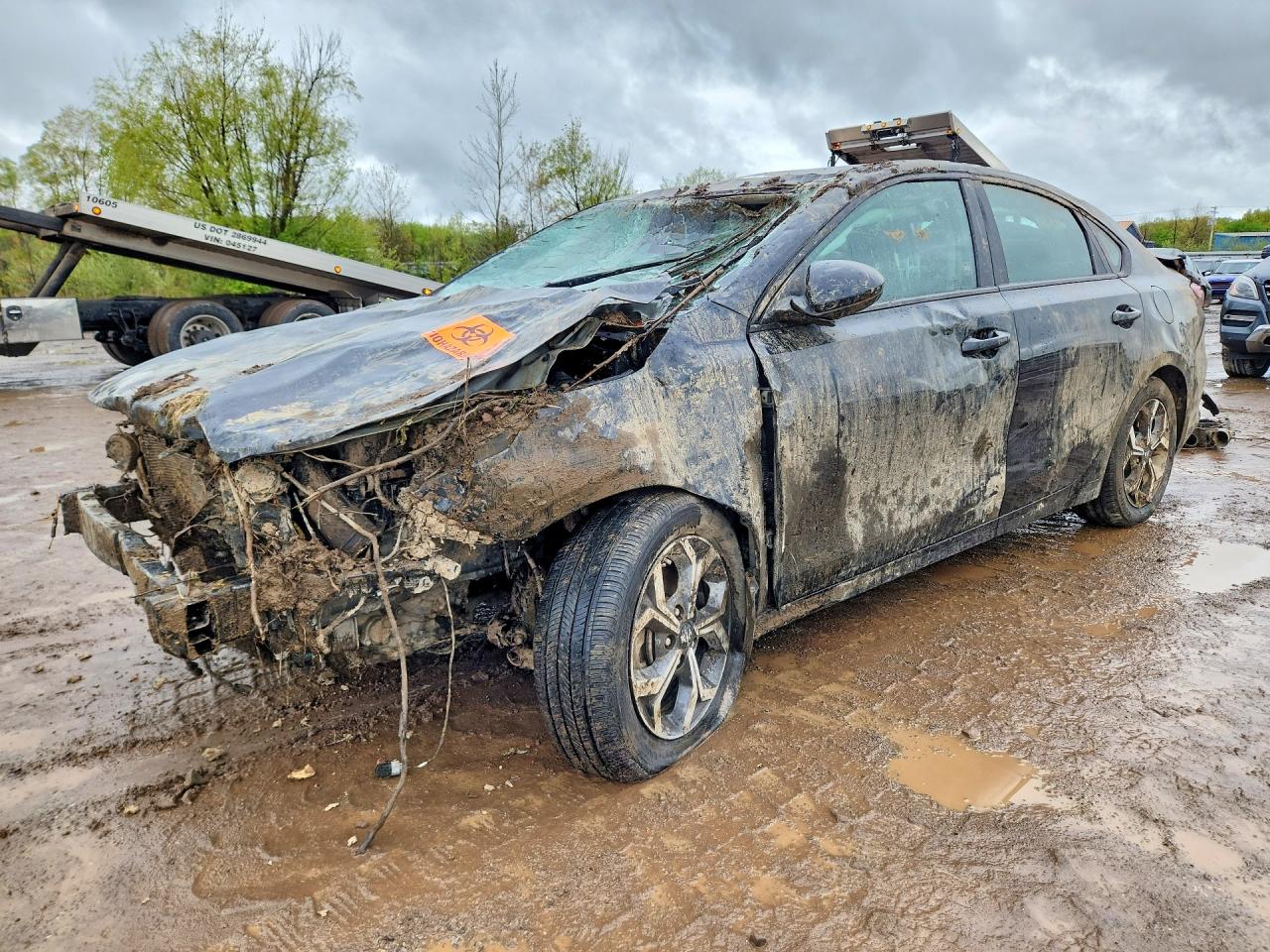 Salvage Kia Forte Image