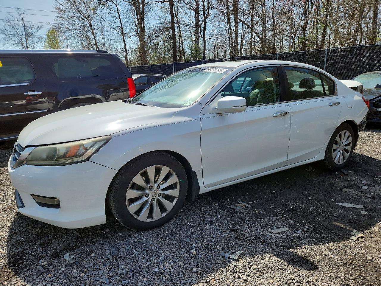 Salvage Honda Accord Image