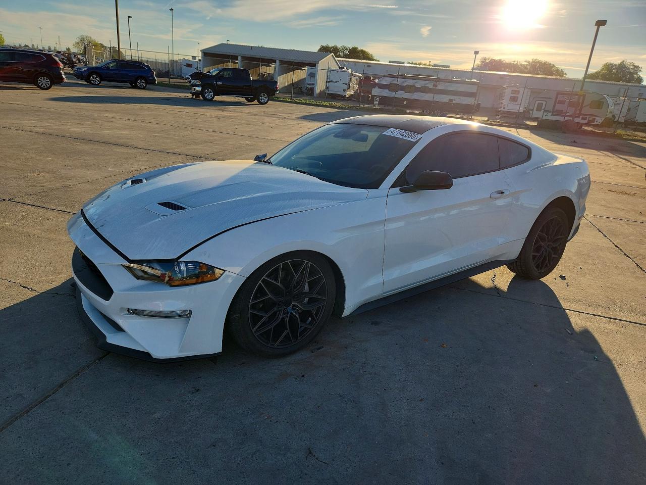 Salvage Ford Mustang Image