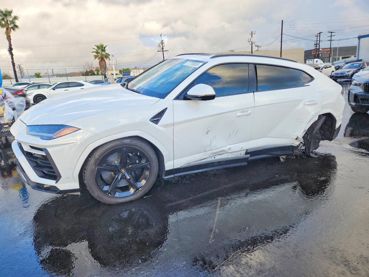 Salvage Lamborghini Urus Image