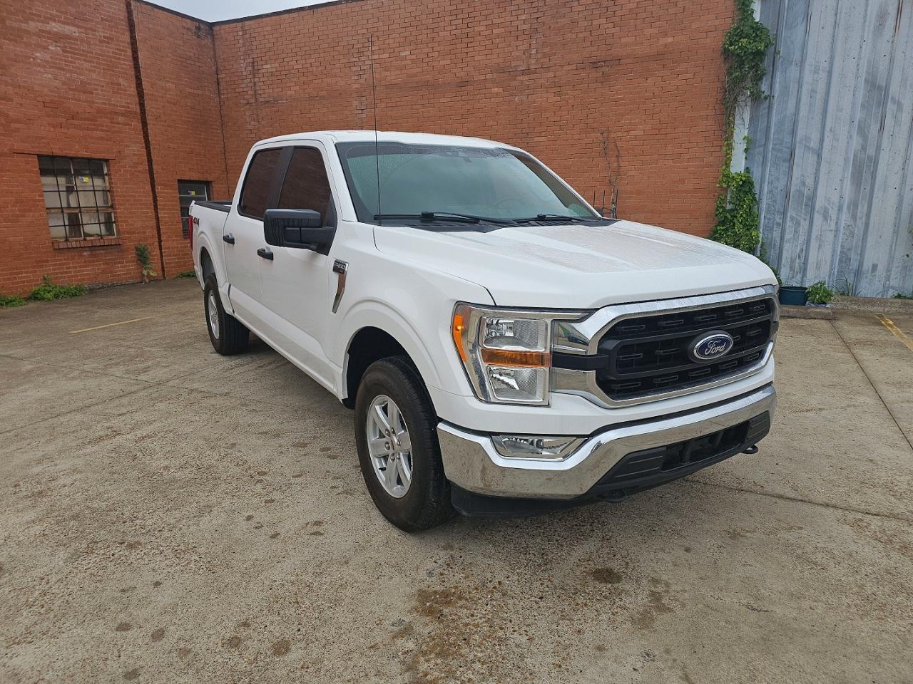 Salvage Ford F-150 Image