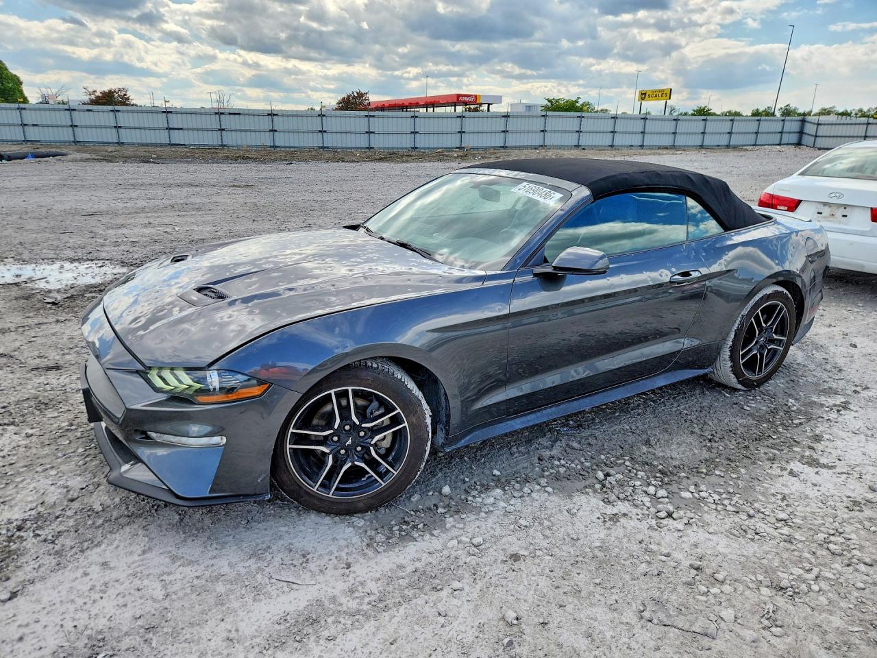 Salvage Ford Mustang Image