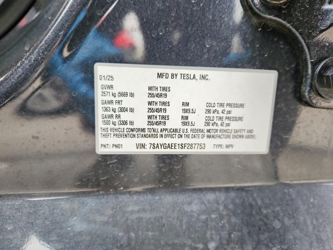 Tesla Model Y