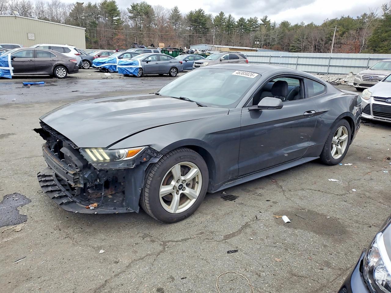 Salvage Ford Mustang Image