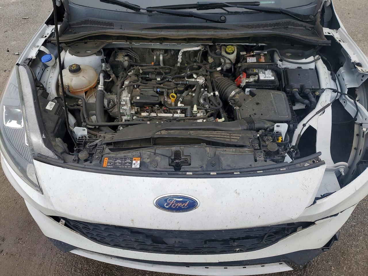 Ford Escape S