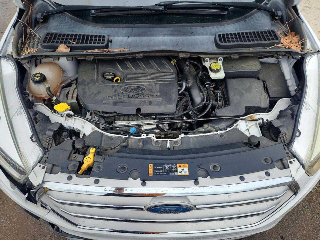 Ford Escape Se
