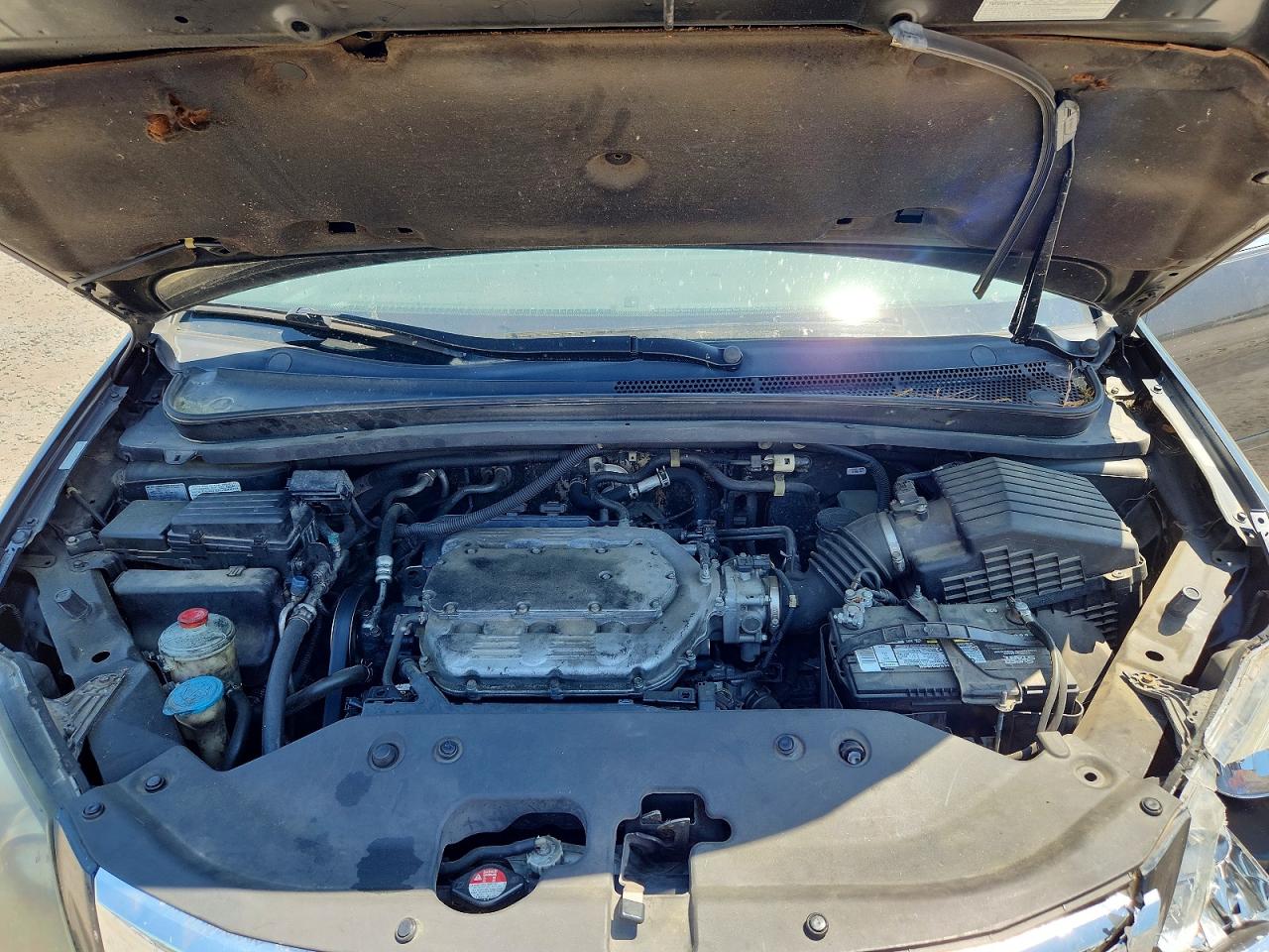 Honda Odyssey Exl