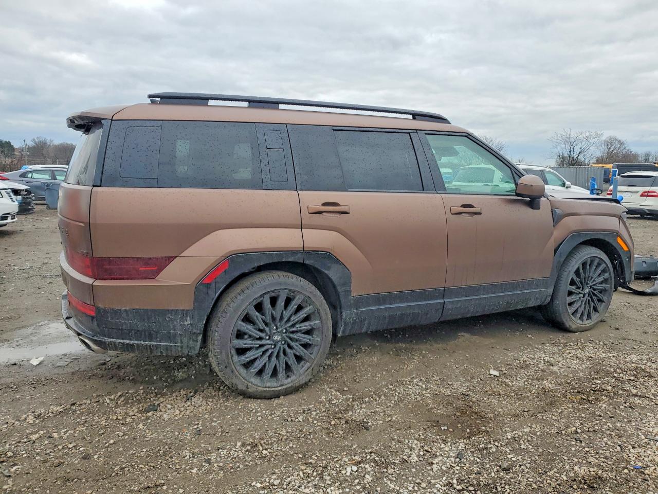 Hyundai SANTA FE Calligraphy