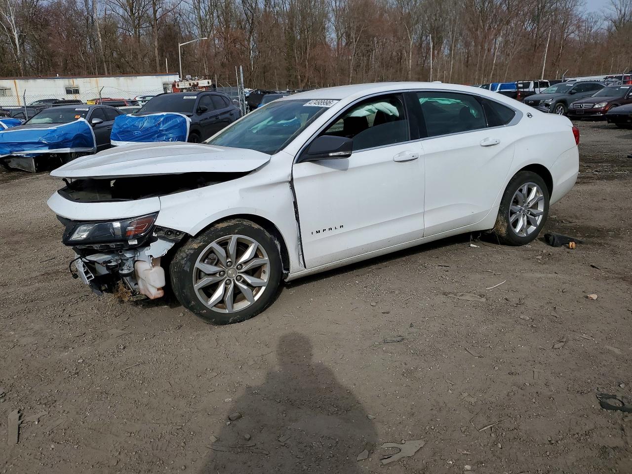Salvage Chevrolet Impala Image