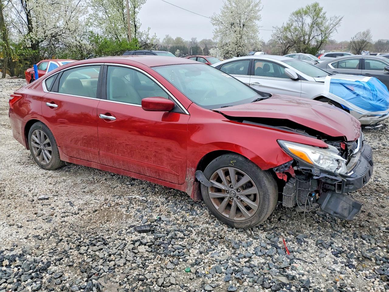 Nissan Altima