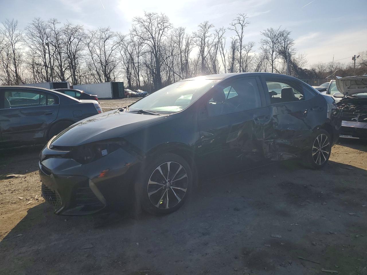 Salvage Toyota Corolla Image