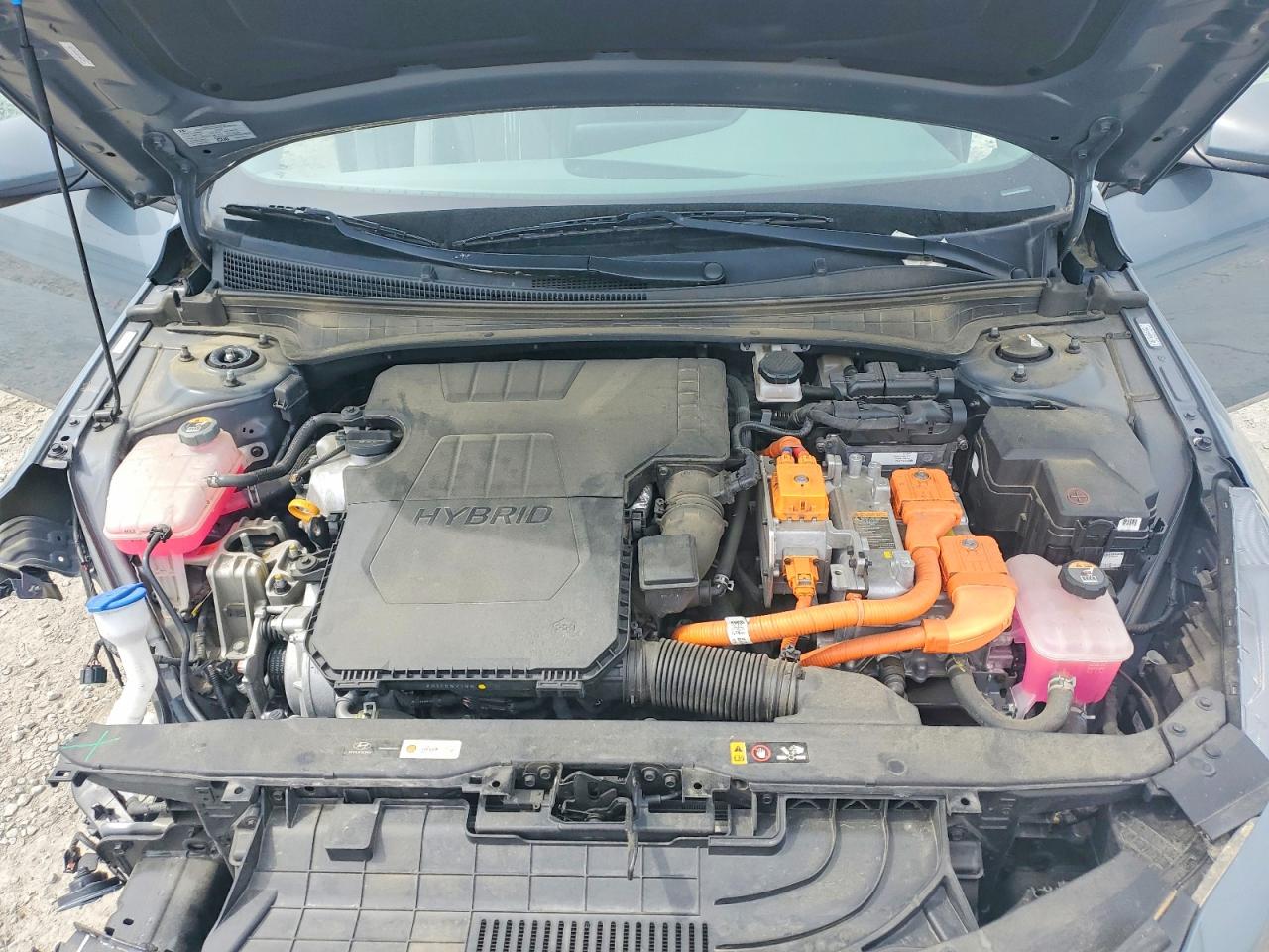 Hyundai ELANTRA Blue