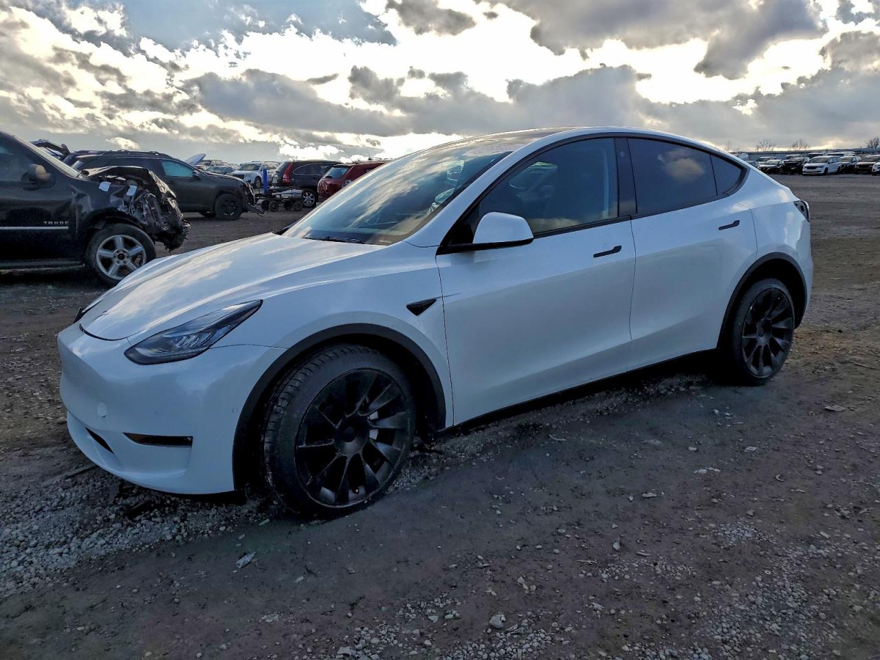 Salvage Tesla Model Y Image