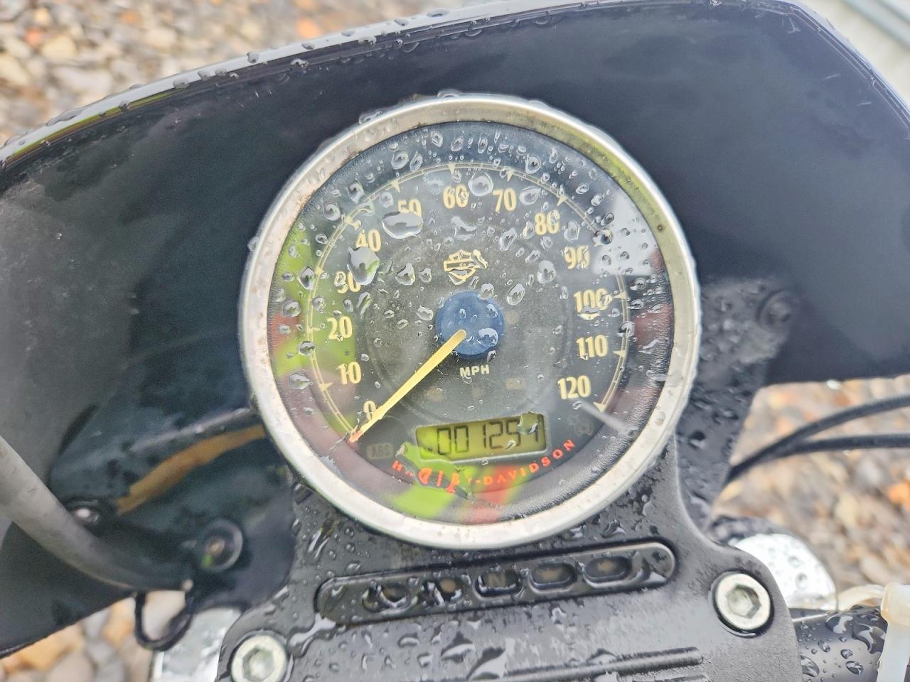 Harley-Davidson Xl1200 Ns Ns