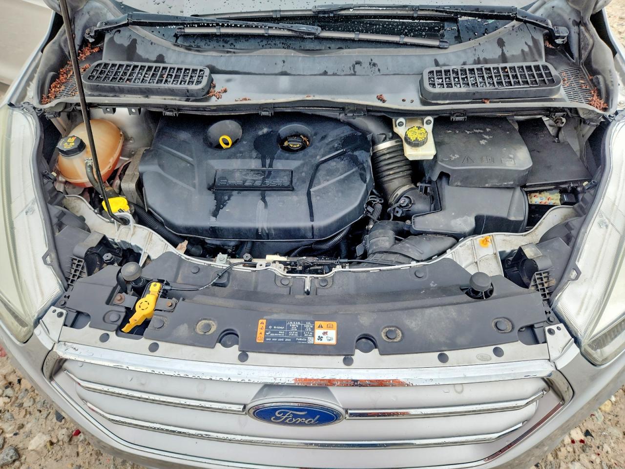 Ford Escape Se