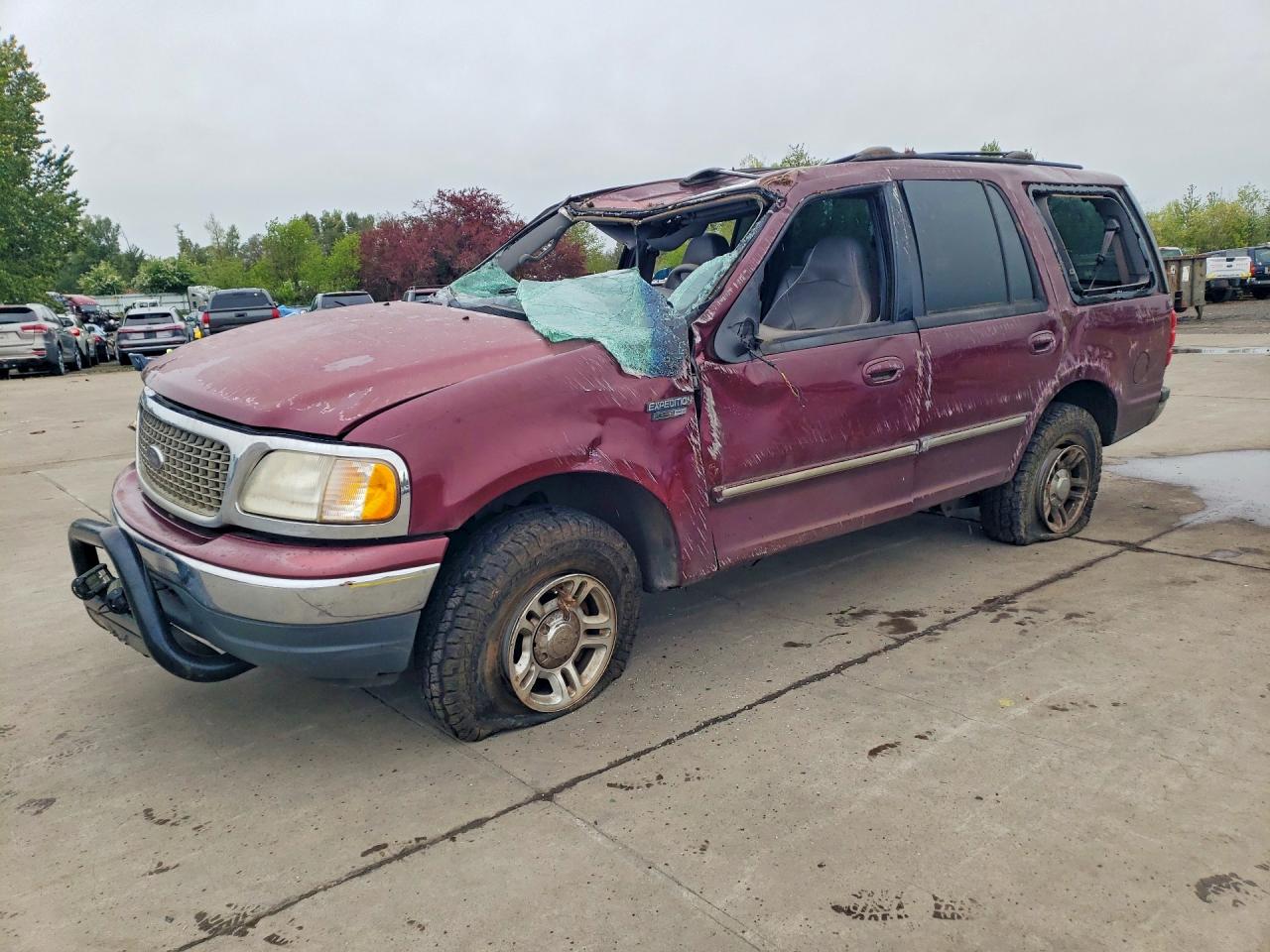 Salvage Ford Expedition Image