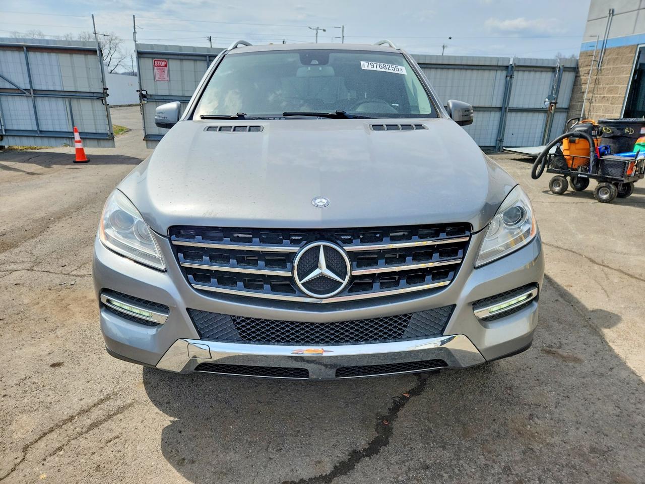 Mercedes-Benz M-Class 250 Bluetec