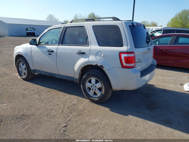Ford Escape Xlt