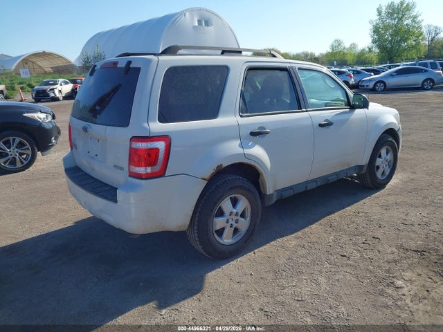 Ford Escape Xlt