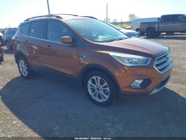 Salvage Ford Escape Image