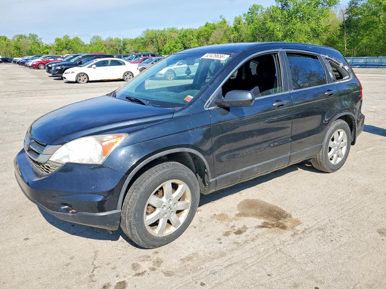 Salvage Honda Crv Image