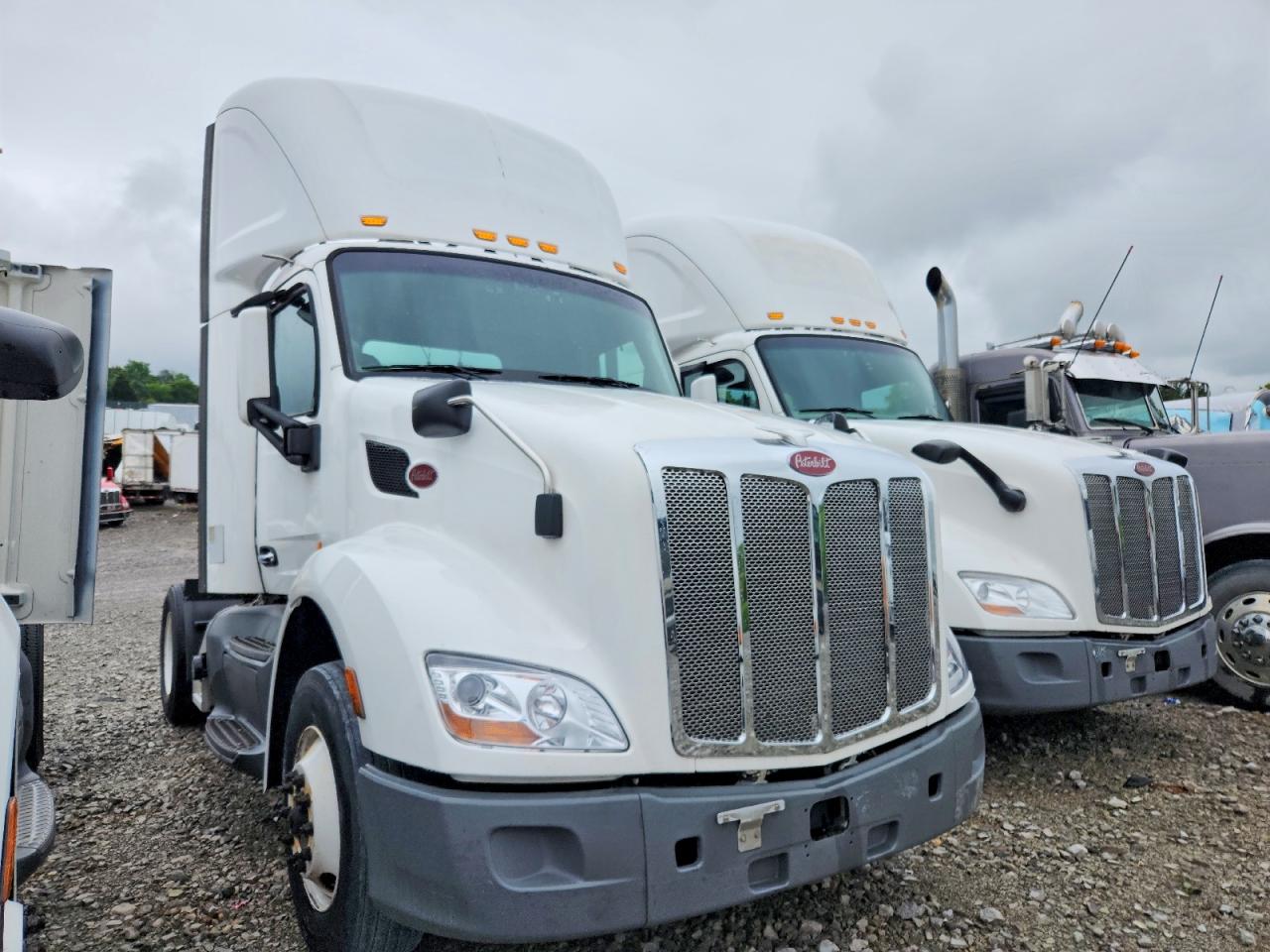 Salvage Peterbilt 579 Image