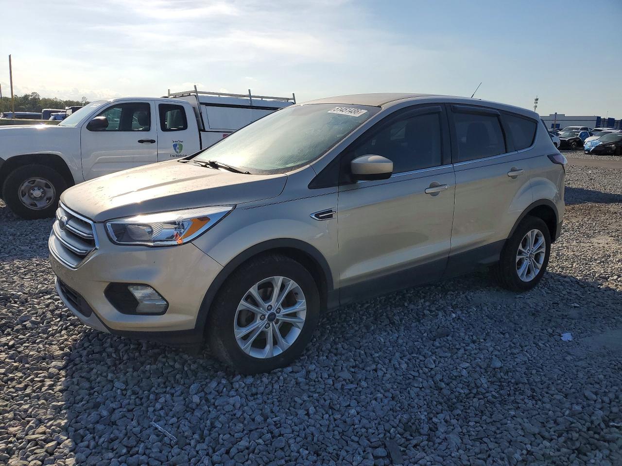 Salvage Ford Escape Image