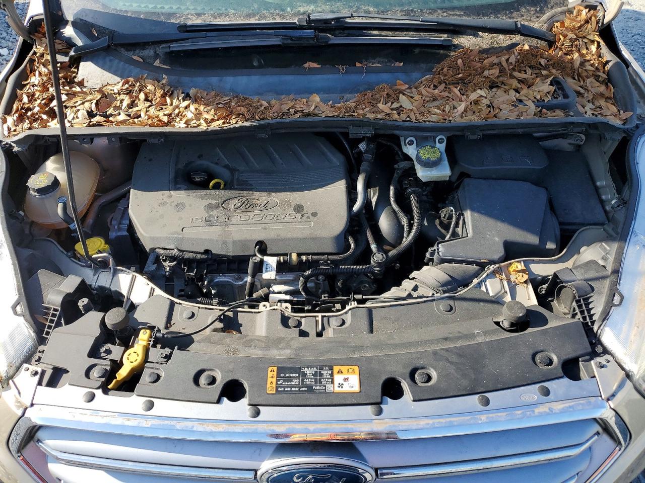 Ford Escape Se