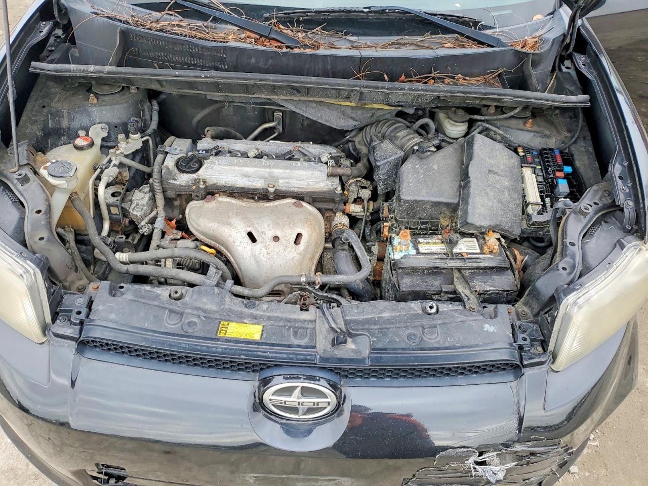Scion xB Base