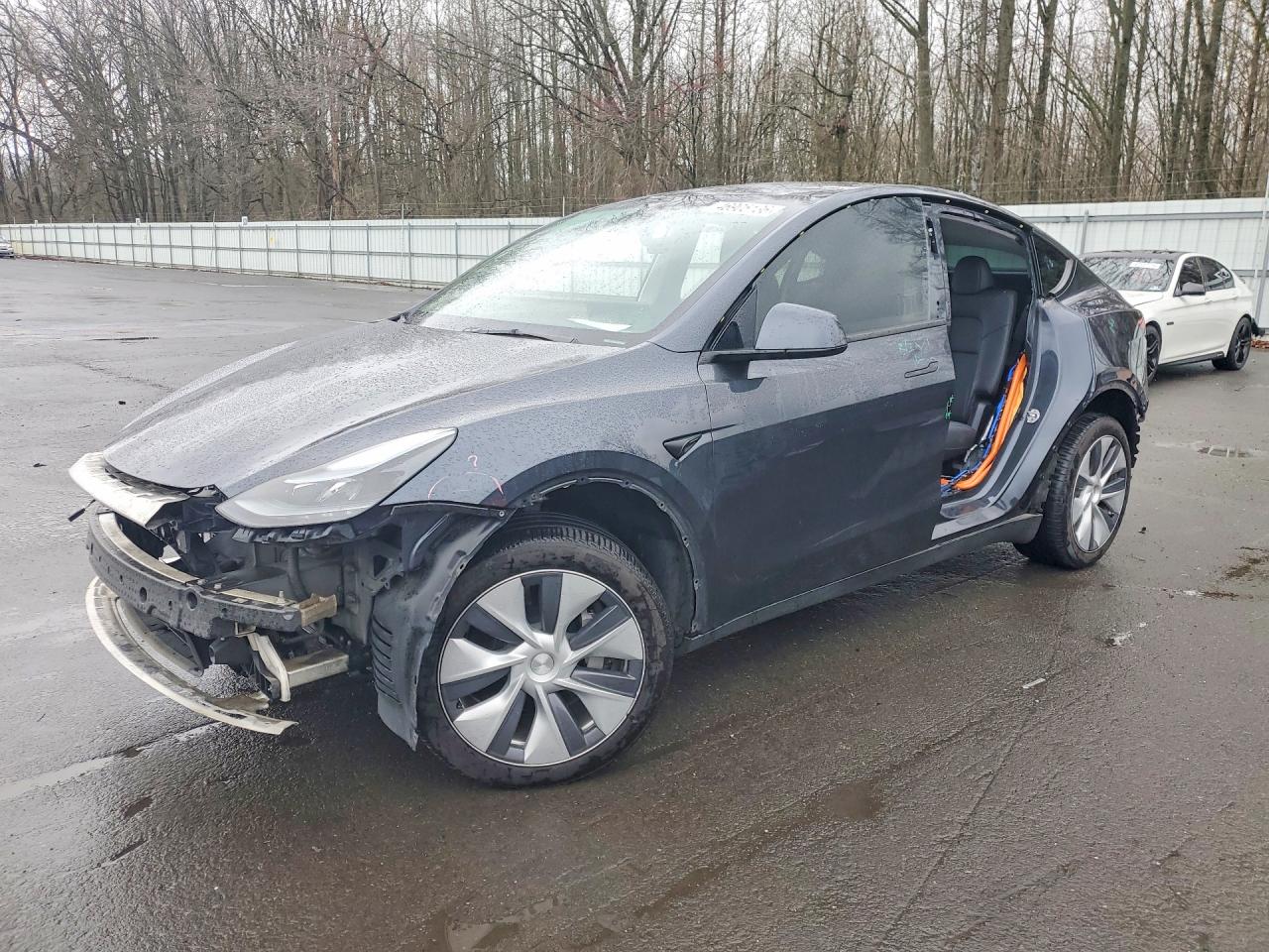 Salvage Tesla Model Y Image