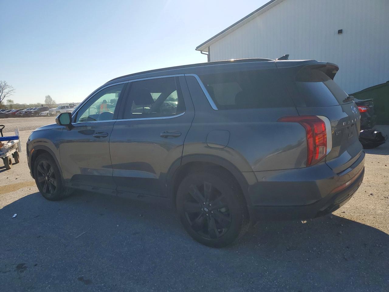 Hyundai PALISADE Xrt