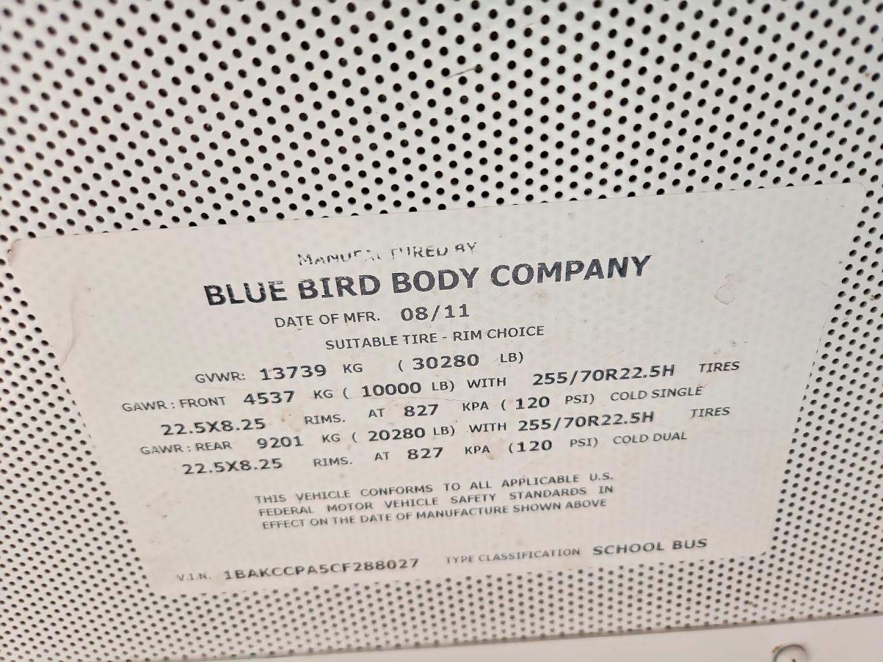 Bluebird School Bus