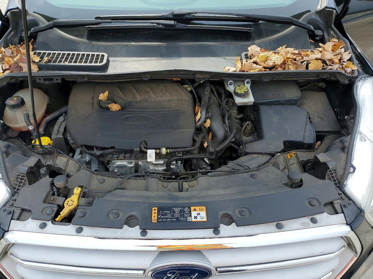 Ford Escape Se
